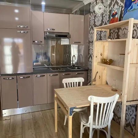 Estudio Centro Apartment *